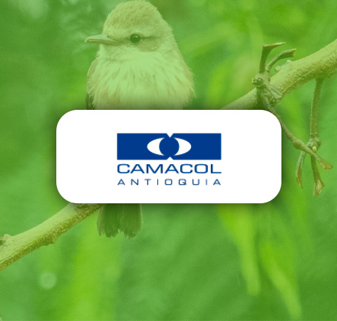 Camacol