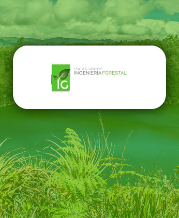 Ingeneria Forestal