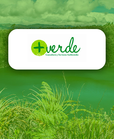 + Verde