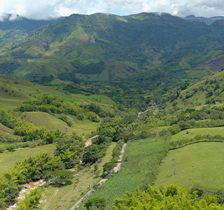Ordenamiento territorial